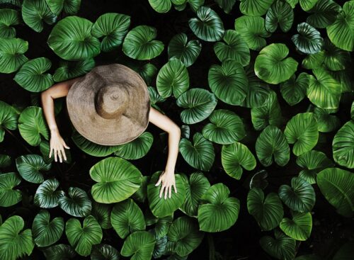 ESG és fenntarthatósági tanácsadás