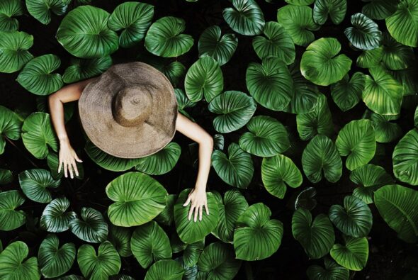 Asset Management & Operational Optimization